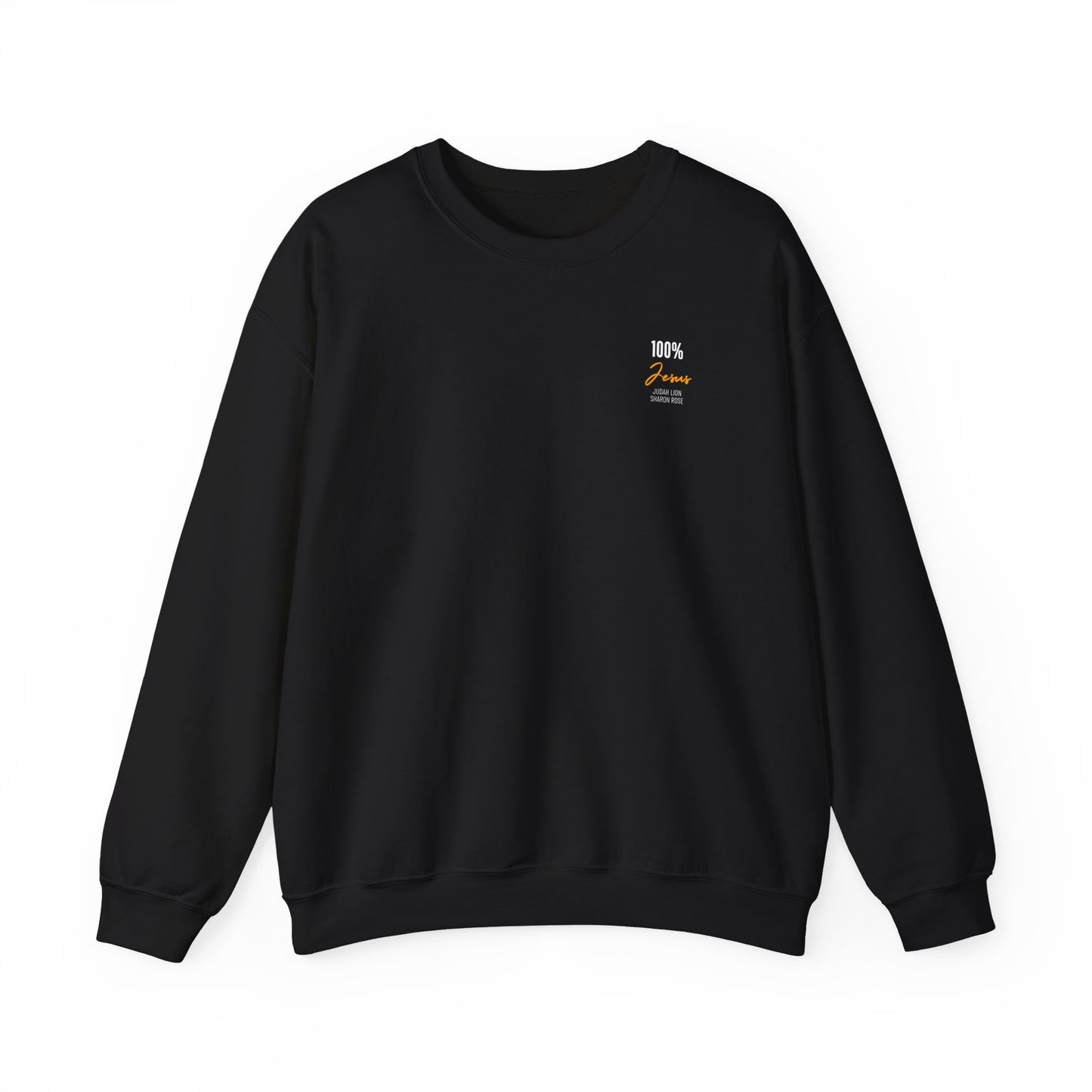 Sweater: 100% Jesus